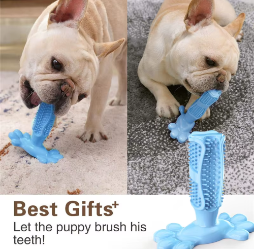 Dog Toy Toothbrush