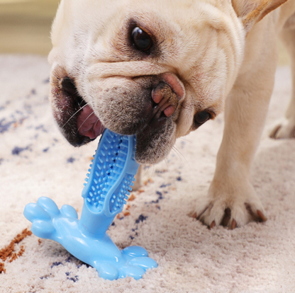 Dog Toy Toothbrush