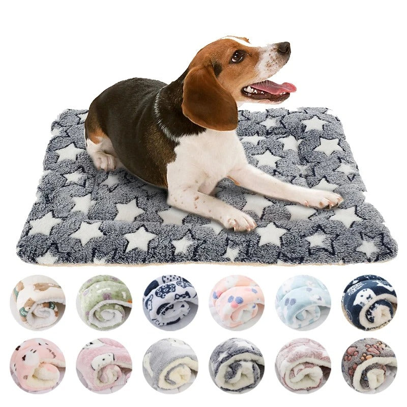 Autumn and Winter warm cats and dogs general blanket