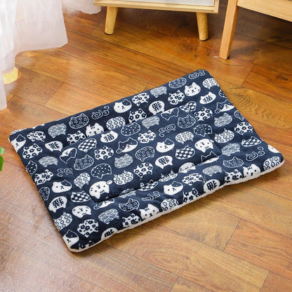 Autumn and Winter warm cats and dogs general blanket