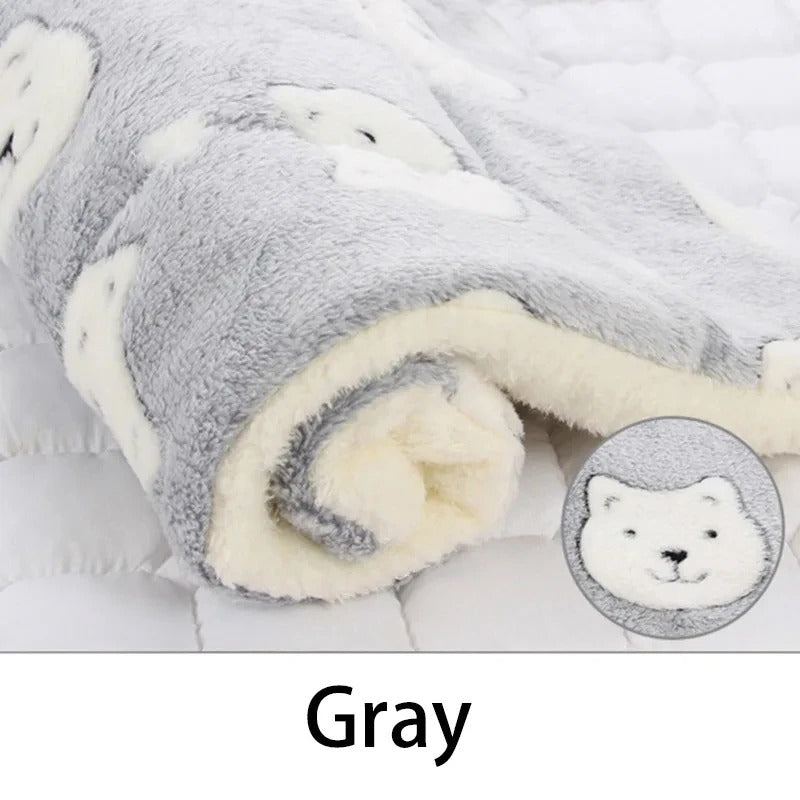 Autumn and Winter warm cats and dogs general blanket